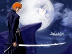Bleach 1