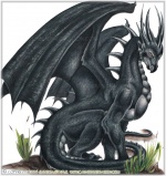 Black-dragon